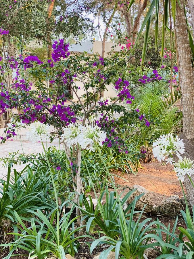 Villa Rosemary Marsala Ngoại thất bức ảnh