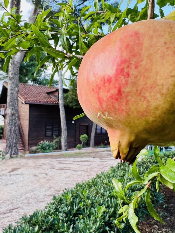 Villa Rosemary Marsala Ngoại thất bức ảnh