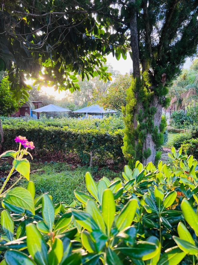 Villa Rosemary Marsala Ngoại thất bức ảnh